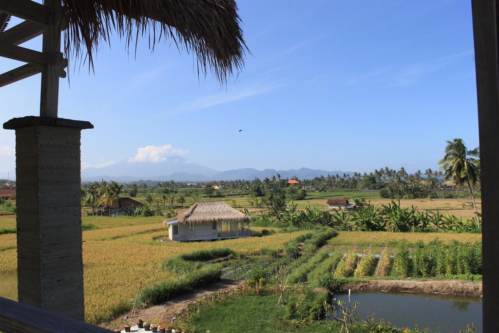 Barn N Bunk Hotel Gianyar  Luaran gambar