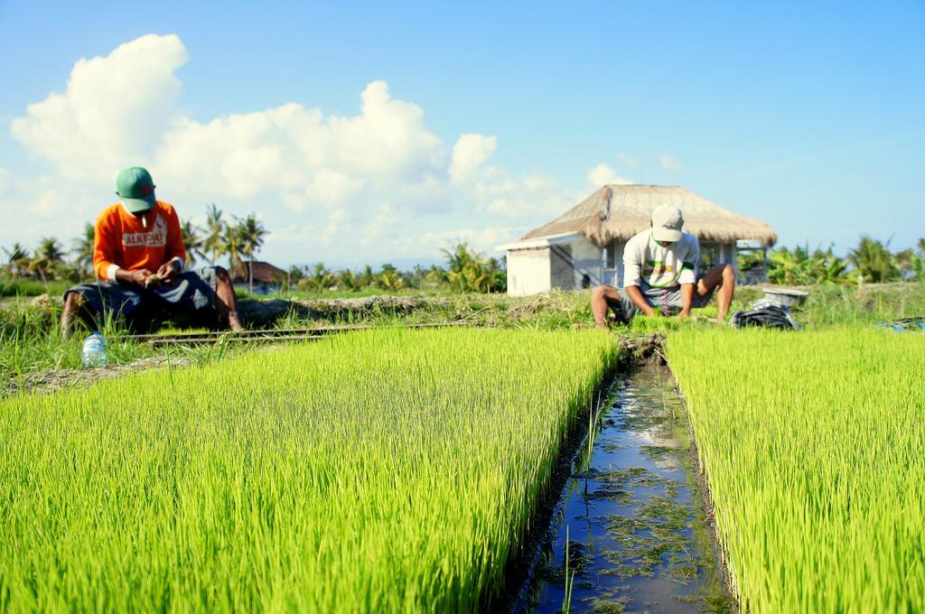 Barn N Bunk Hotel Gianyar  Luaran gambar