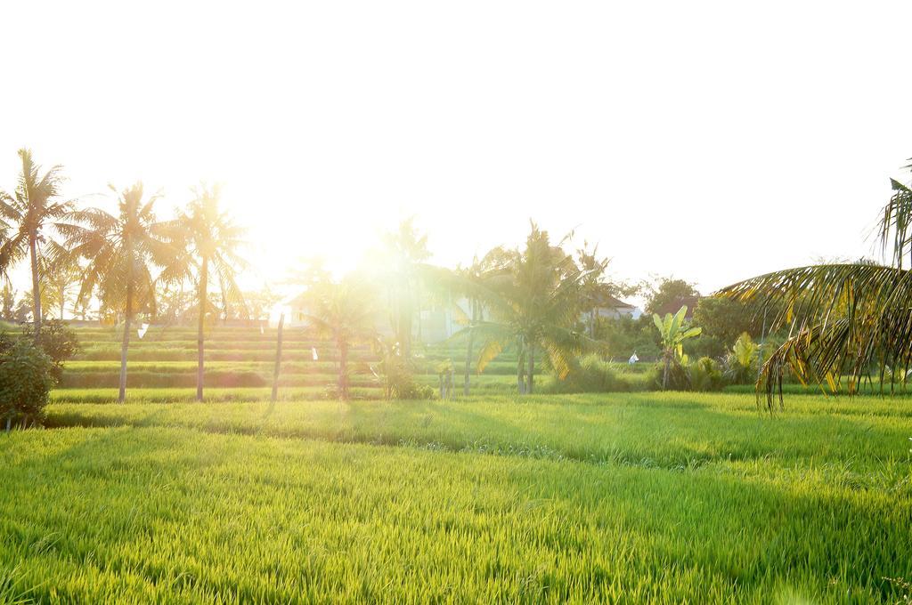Barn N Bunk Hotel Gianyar  Luaran gambar