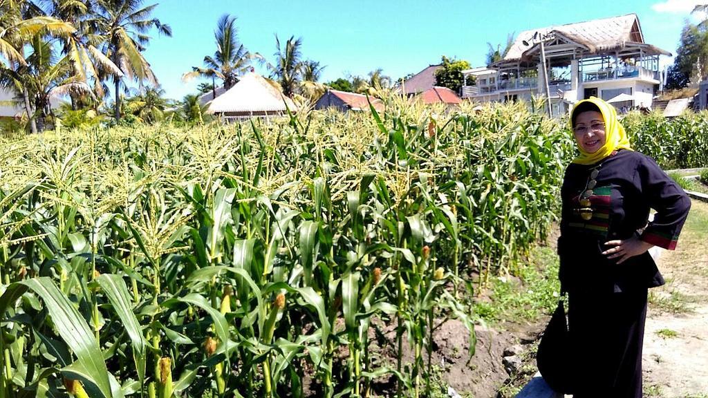 Barn N Bunk Hotel Gianyar  Luaran gambar